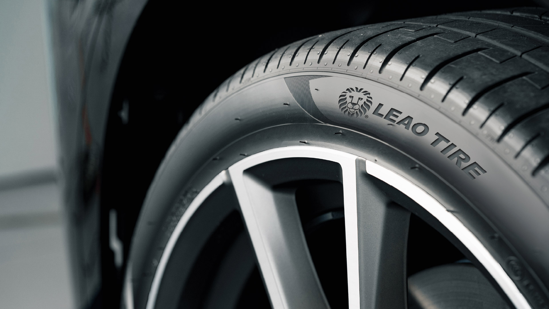 llantas_leao_lion_sport_at-100_banner2-6